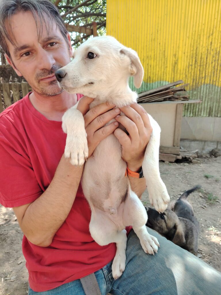Adoptiere Mars