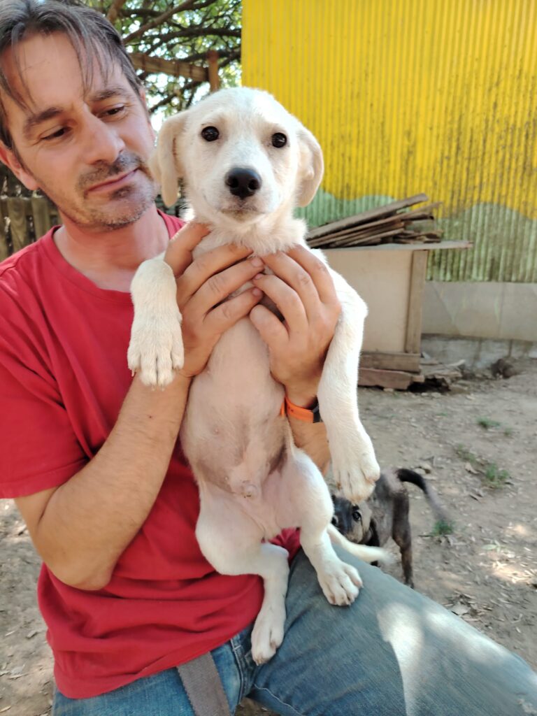 Adoptiere Mars