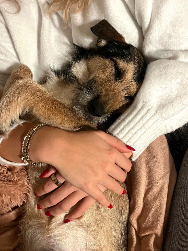 Rüde Loopi adoptieren