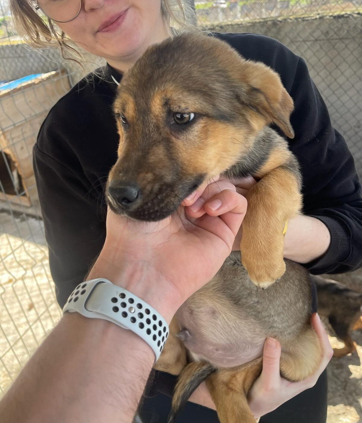 Pokémon Welpen Pichu