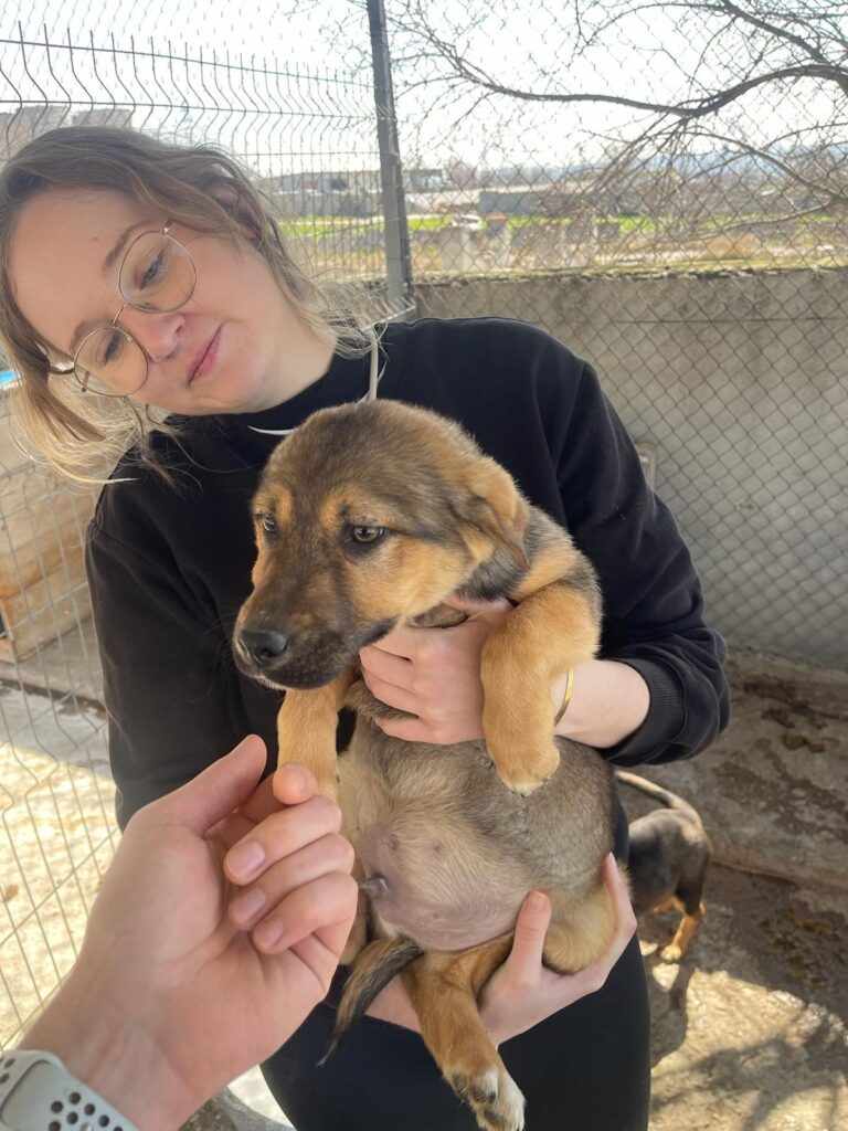 Pokémon Welpen Pichu