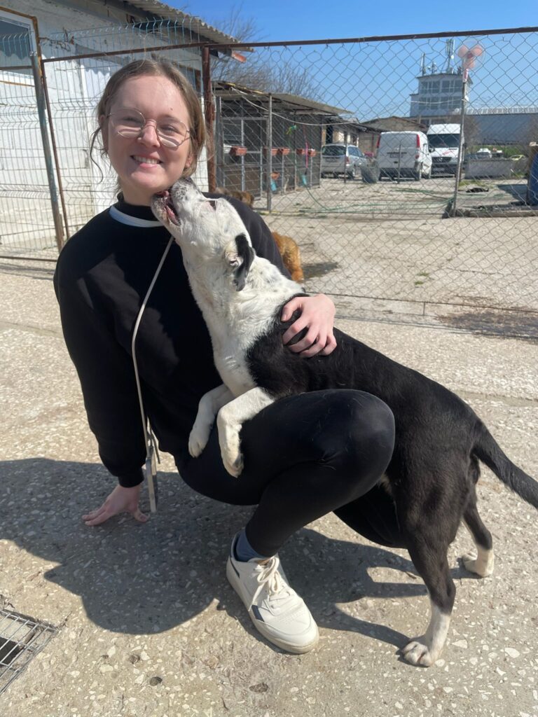 Hündin Mia adoptieren