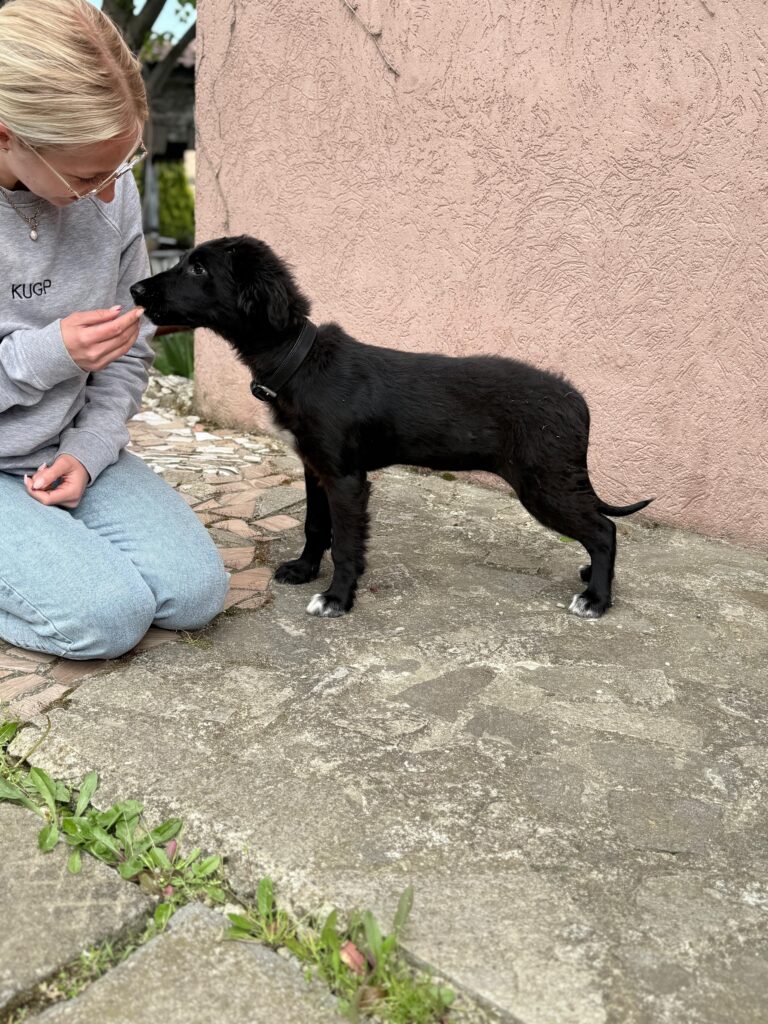 Adoptiere_Tuli