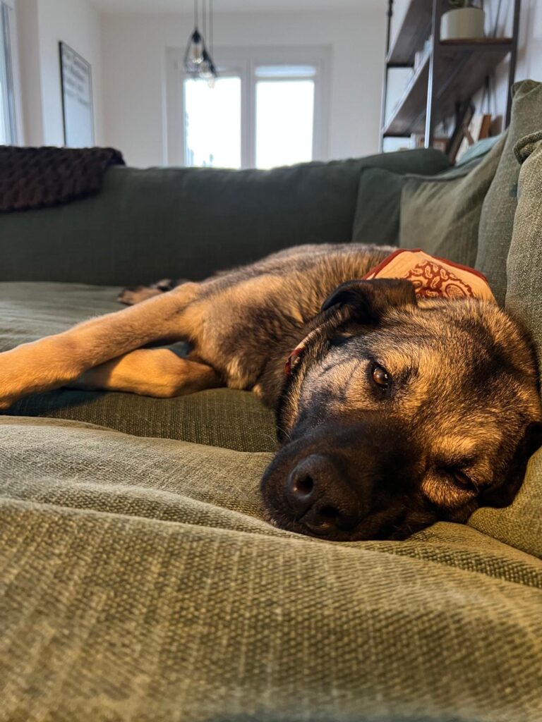 Mulan