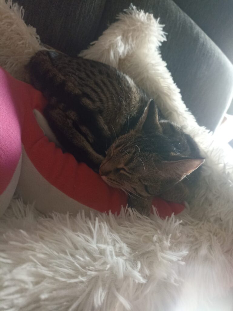 Thea_adoptieren