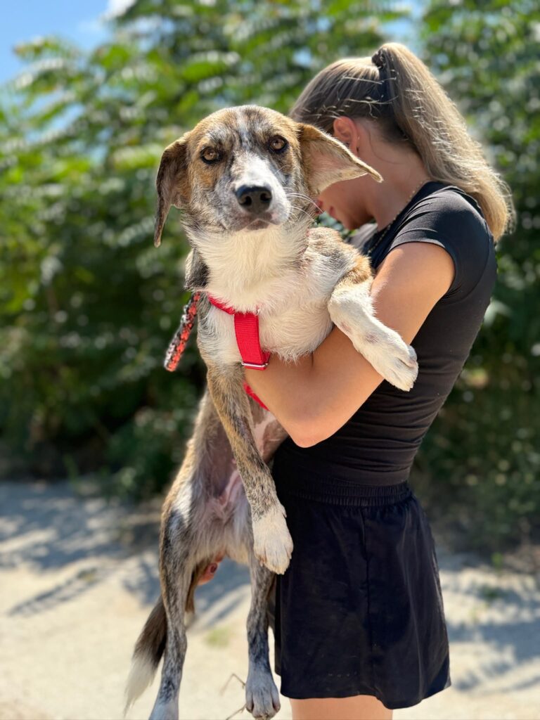 Cleo adoptieren